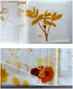 Screen Shot 2015-04-28 at 10.35.23 AM