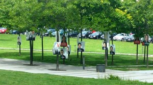 20150603_113938 copy