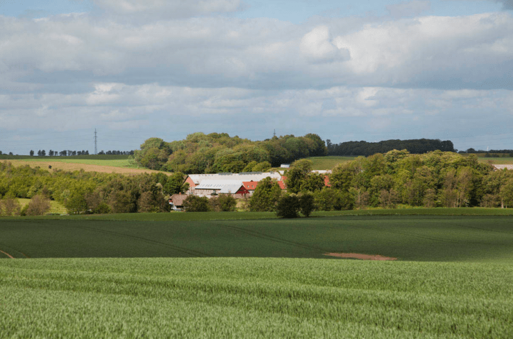 Screen Shot 2017-01-20 at 13.11.22.png